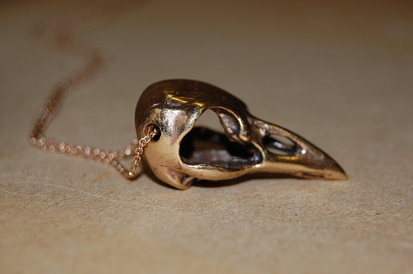 'bird skull' necklace | bronze